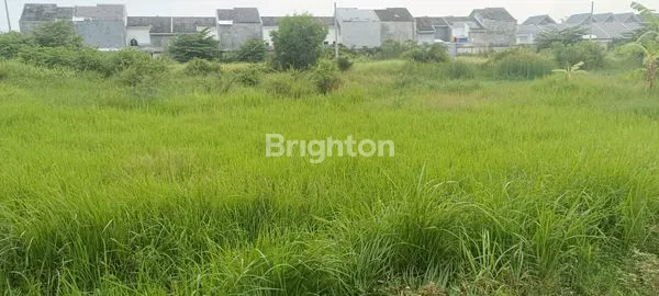 image TANAH SAWAH SUDAH URUK HARGA COCOK UNTUK INVESTASI (1)