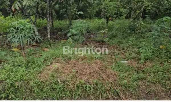 image TANAH STRATEGIS 516 M² DI JALAN PEMBINA, LIMBUNGAN – RUMBAI PEKANBARU (1)