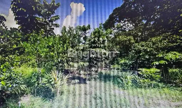 image TANAH STRATEGIS 516 M² DI JALAN PEMBINA, LIMBUNGAN – RUMBAI PEKANBARU (2)