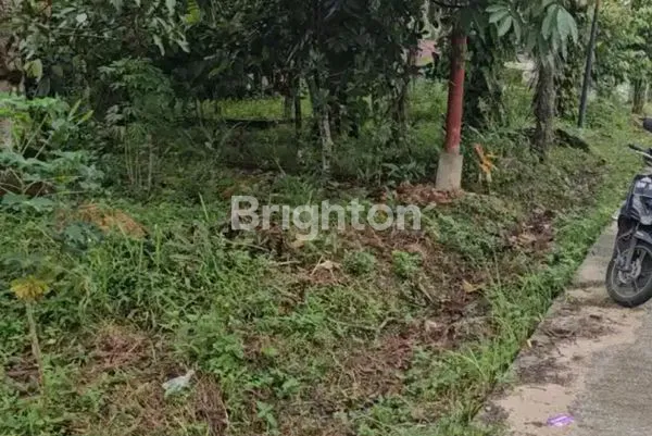 image TANAH STRATEGIS 516 M² DI JALAN PEMBINA, LIMBUNGAN – RUMBAI PEKANBARU (3)