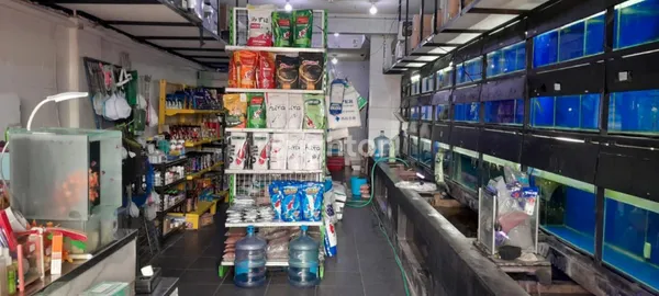 image JUAL RUKO JL KENDEDES DEKAT RAYA KUTA, BYPASS NGURAH RAI (2)