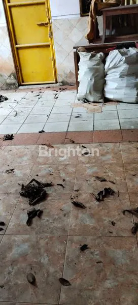 image RUMAH SEWA LT 2000M² DI KRANGGAN CIBUBUR (6)