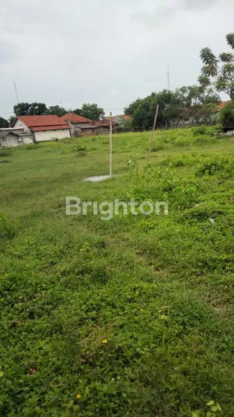 image TANAH LUAS DI ANJATAN INDRAMAYU (4)