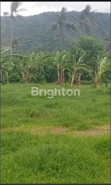 image DIJUAL TANAH KAVLING SIAP BANGUN DI SIBANG  GEDE (3)