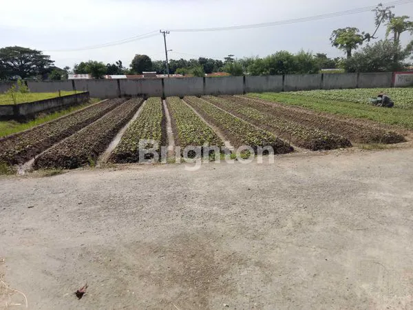 image TANAH SIAP HUNI/BISNIS, LOKASI STRATEGIS MEDAN (4)