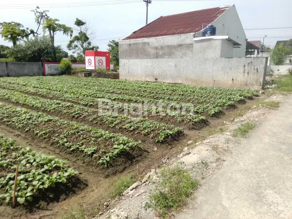 image TANAH SIAP HUNI/BISNIS, LOKASI STRATEGIS MEDAN (7)