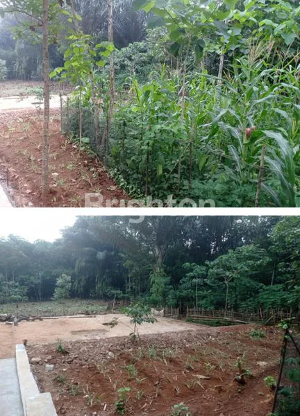 image RUMAH CANTIK SIAP HUNI DENGAN LAHAN LUAS DI SUMEDANG! (8)