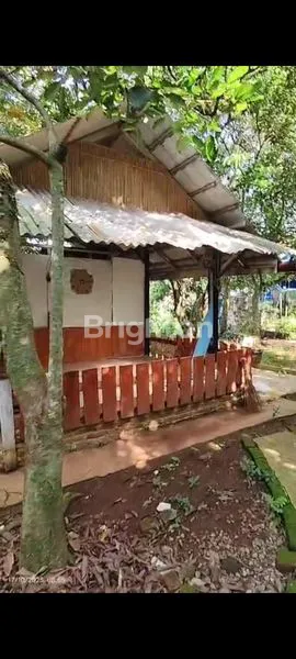 image TANAH KEBUN SHM 641M² MURAH DI PASAWAHAN (3)