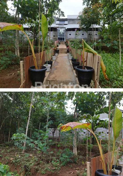 image RUMAH BERNUANSA ADEM DENGAN LAHAN KEBUN PRODUKTIF DI SUMEDANG! (8)