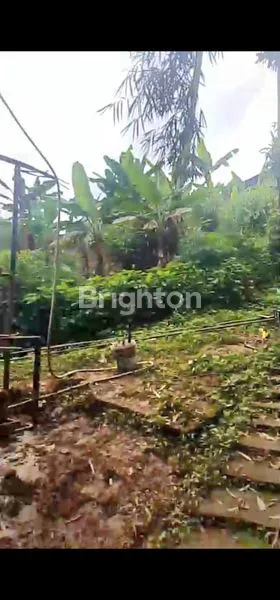 image TANAH LUAS 8.35HA SHM DI PANCUR BATU (8)