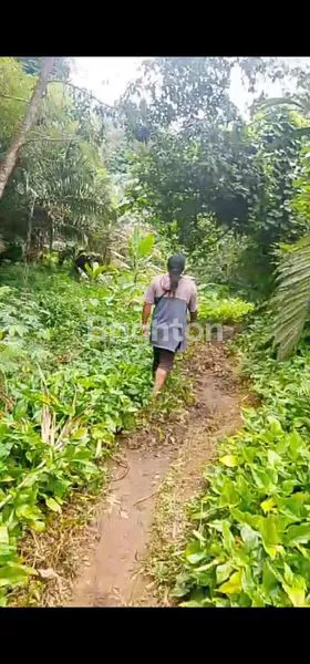 image TANAH LUAS 8.35HA SHM DI PANCUR BATU (5)