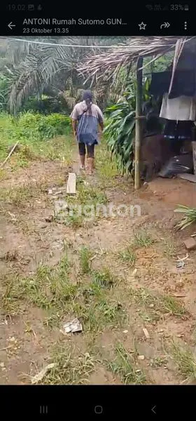 image TANAH LUAS 8.35HA SHM DI PANCUR BATU (4)