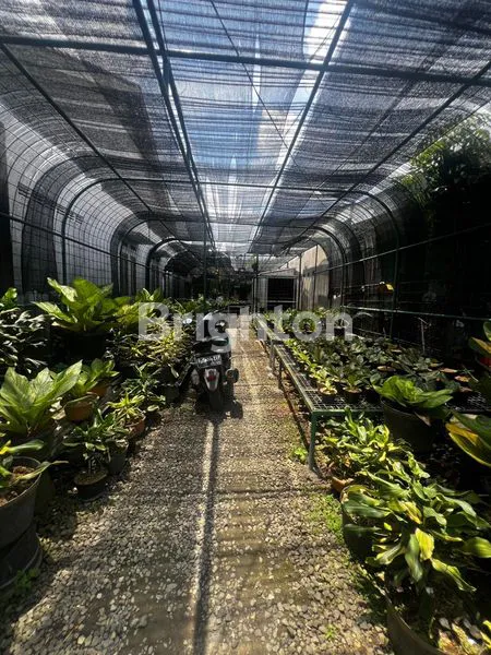 image TANAH KEBUN TANAMAN VIRAL - KELILING DIPAGAR BESI SUPER AMAN BUAT TANI ATAU INVESTASI STRATEGIS (2)