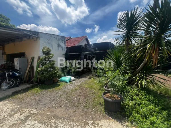 image TANAH KEBUN TANAMAN VIRAL - KELILING DIPAGAR BESI SUPER AMAN BUAT TANI ATAU INVESTASI STRATEGIS (5)