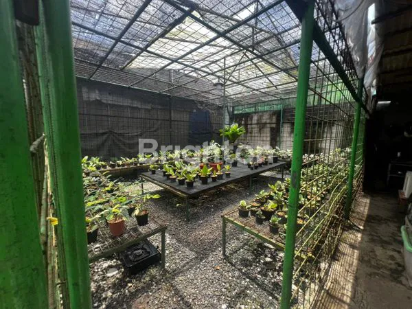 image TANAH KEBUN TANAMAN VIRAL - KELILING DIPAGAR BESI SUPER AMAN BUAT TANI ATAU INVESTASI STRATEGIS (6)