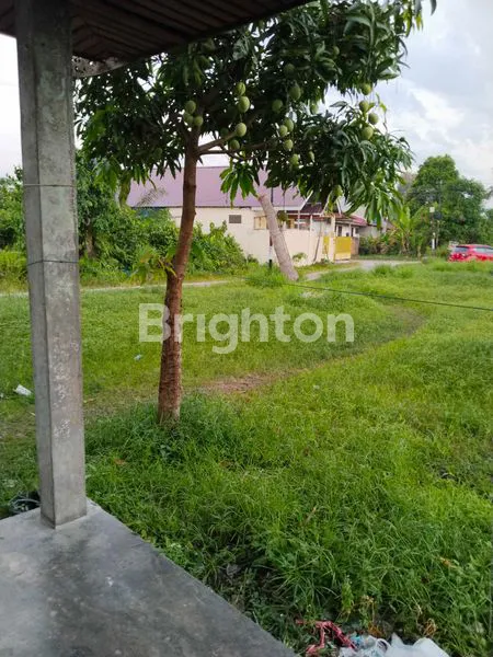 image TANAH LUAS 2.222M² SHM DI PAYUNG SEKAKI (2)