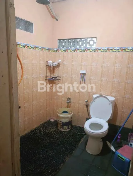 image RUMAH 2 LANTAI + KONTRAKAN 2 PINTU, LT 498M² (5)