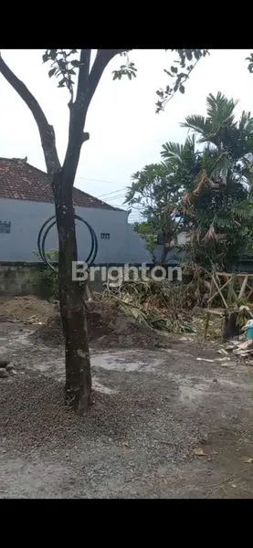 image DI JUAL TANAH BONUS BANGUNAN DI RENON (3)