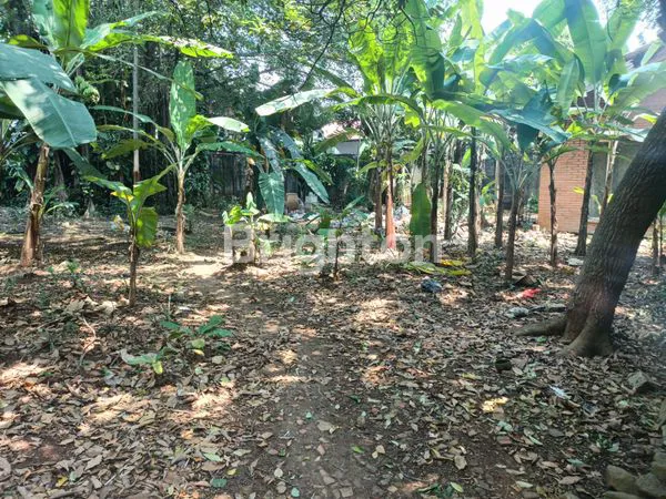 image TANAH BONUS BANGUNAN DI CIMANGGIS DEPOK (7)
