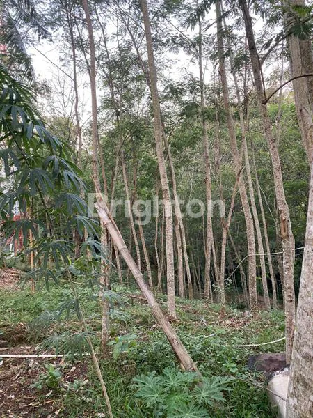 image DIJUAL TANAH DI BANYUMANIK (1)