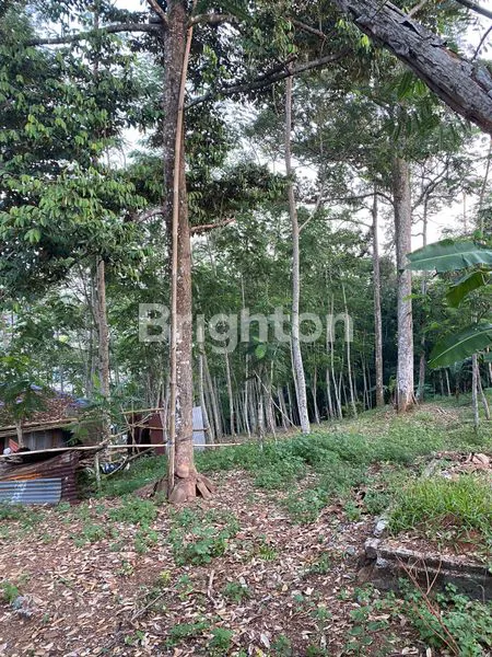 image DIJUAL TANAH DI BANYUMANIK (4)