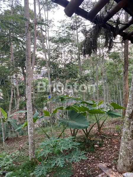 image DIJUAL TANAH DI BANYUMANIK (2)