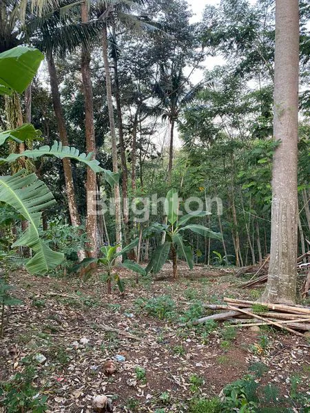 image DIJUAL TANAH DI BANYUMANIK (3)