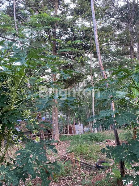 image DIJUAL TANAH DI BANYUMANIK (5)