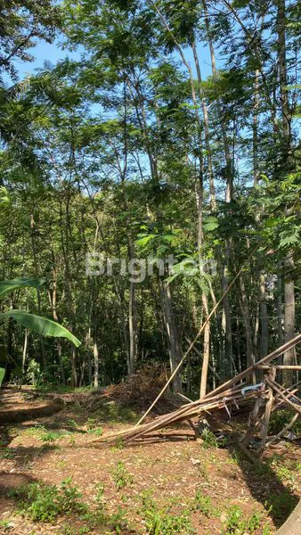 image DIJUAL TANAH DI BANYUMANIK (6)