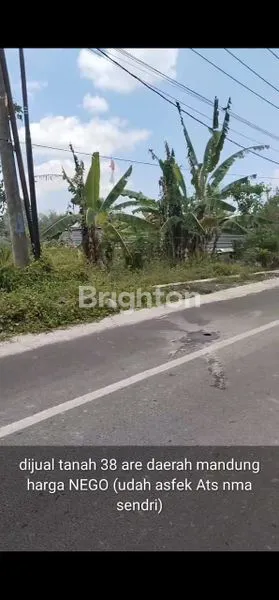 image TANAH SIAP BANGUN DI KERAMBITAN SEMBUNG GEDE TABANAN (7)