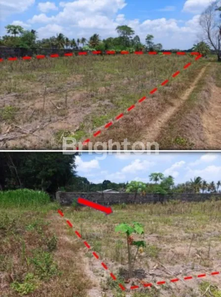 image TANAH MURAH DIJUAL DI LAMPUNG TENGAH  (2)