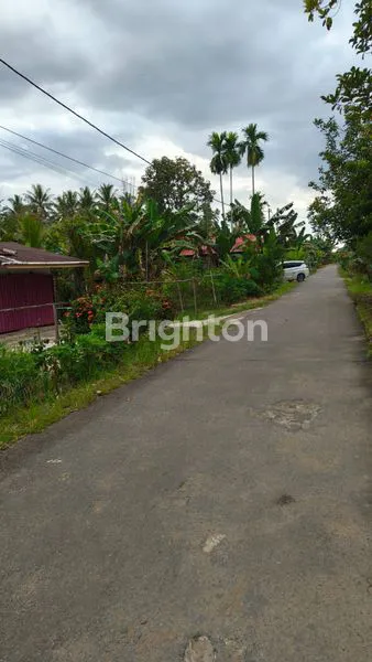 image TANAH PERKEBUNAN PAL IX SUNGAI KAKAP KUBU RAYA (3)