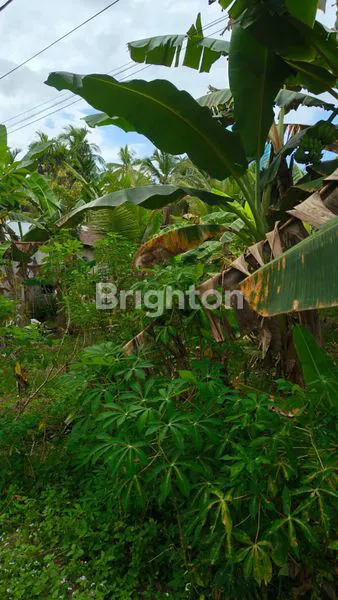 image TANAH PERKEBUNAN PAL IX SUNGAI KAKAP KUBU RAYA (5)
