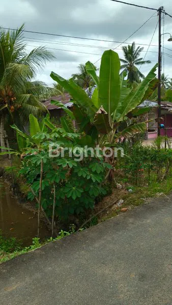 image TANAH PERKEBUNAN PAL IX SUNGAI KAKAP KUBU RAYA (4)