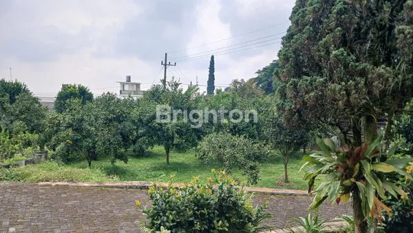 image TANAH DAN RUMAH PADA POROS JAKLAN UTAMA NONGKOJAJAR PASURUAN (3)