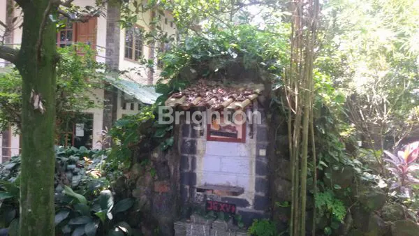 image TANAH CIAPUS BOGOR (4)