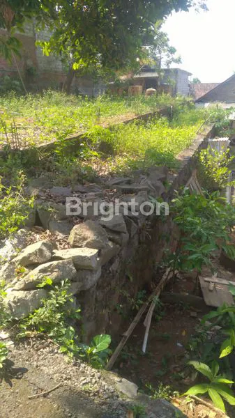image TANAH PONDASI DI GEDAWANG SEMARANG (1)