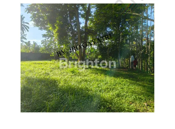 image TANAH LUAS 4 HEKTAR VIEW SUNGAI AYUNG – DESA BUAHAN KAJA, PAYANGAN, GIANYAR (1)