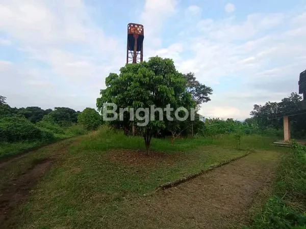 image TANAH KANDANG SAPI 20 HEKTAR SHM (7)