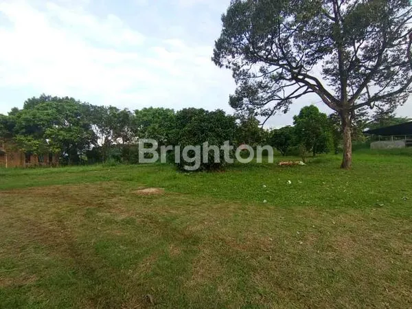 image TANAH KANDANG SAPI 20 HEKTAR SHM (8)