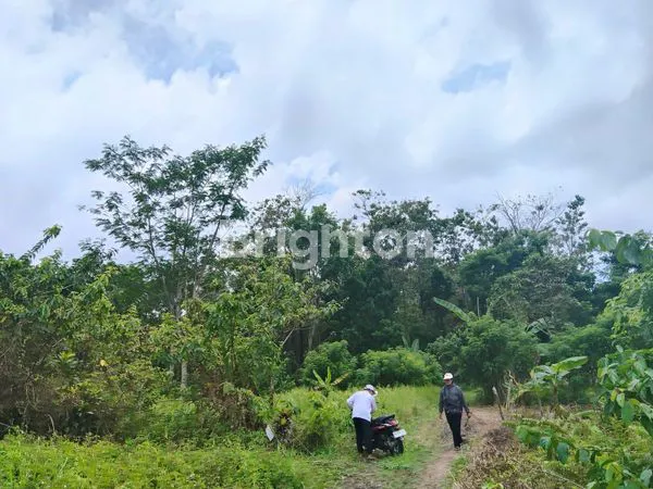 TANAH LUAS DAN ASRI DI DAERAH PEDESAAN