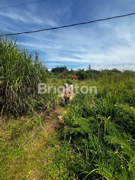 image TANAH KEBUN SUDAH DICOR - DEKAT SUNGAI KECIL COCOK USAHA TERNAK ATAU GUDANG (2)