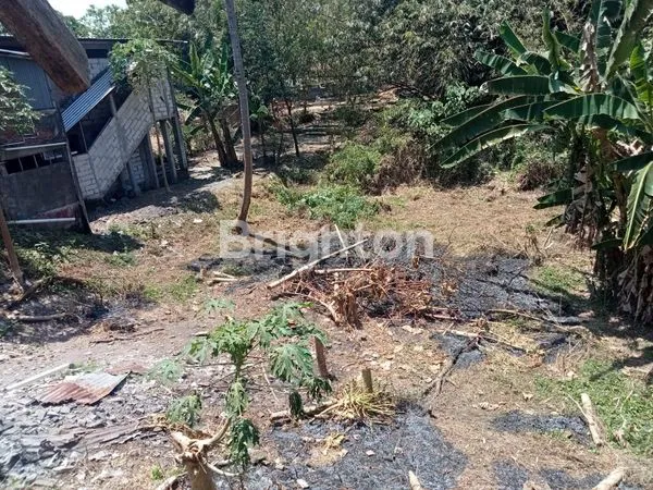 image DIJUAL TANAH BONUS BANGUNAN  (3)