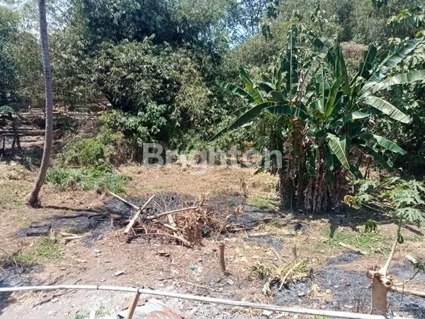 image DIJUAL TANAH BONUS BANGUNAN  (4)