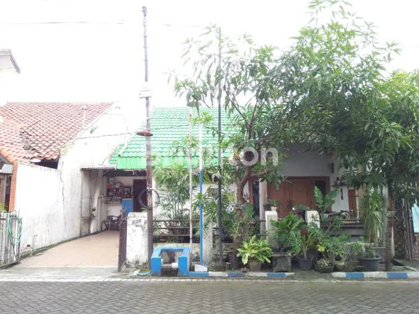 image LUAS, STRATEGIS, LINGKUNGAN NYAMAN, REWWIN (1)