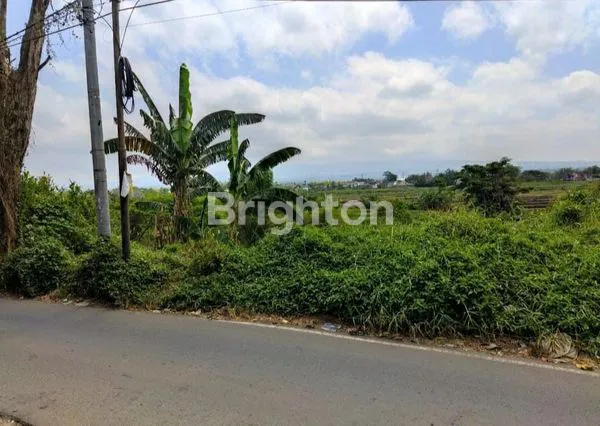 image DIJUAL TANAH LUAS AREA DEKAT SUHAT SOEKARNO HATTA JALAN IKAN IKAN KOTA MALANG (1)