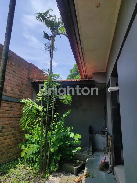 image RUMAH 1 LANTAI HANYA 5 MENIT DARI PLAZA RENON (8)