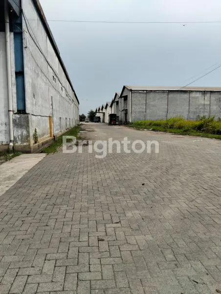 image GUDANG INTAN JALAN LETDA SUJONO  (4)