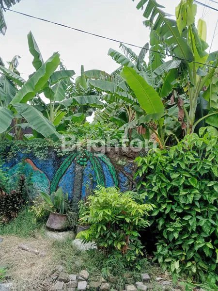 image JUAL TANAH TENGAH KOTA SEMARANG (3)