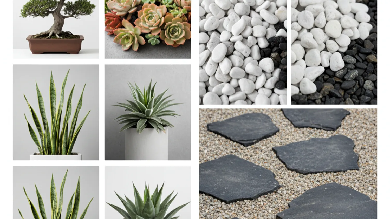 desain tanaman taman kering rumah dijual minimalis 9 panduan pemilihan